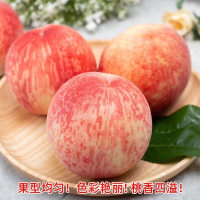顺丰空运四川龙泉水蜜桃新鲜应季水果蜜桃大桃子批发一件代发图3