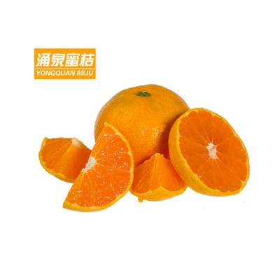 涌泉蜜桔台州临海黄岩无核橘子新鲜水果浙江特产6个装爆汁包邮图3
