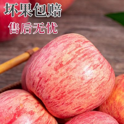 【礼盒装】红富士苹果5斤脆甜当季新鲜水果冰糖心丑苹果批发图2