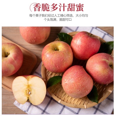 2022年苹果新鲜脆甜烟台栖霞水果苹果红富士当季平果整箱包邮5斤图4
