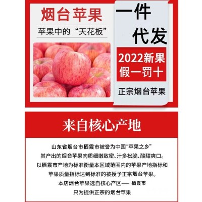 【全年供应】山东烟台红富士苹果生鲜水果新鲜应季脆甜整箱批发图2