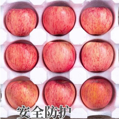 【全年供应】山东烟台红富士苹果生鲜水果新鲜应季脆甜整箱批发图4