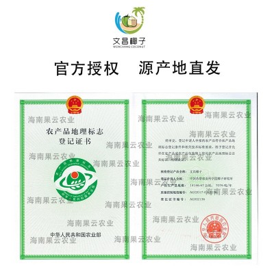 海南椰子热带新鲜现摘现发不去皮青椰 时令孕妇水果椰汁批发包邮图4