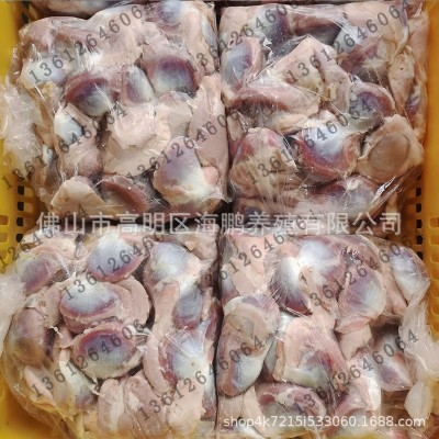 广东黑棕鹅清远乌鬃鹅冷冻鹅副产品鹅胗真空包装生鲜速冻批发供应图4