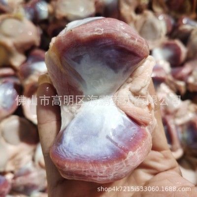 广东黑棕鹅清远乌鬃鹅冷冻鹅副产品鹅胗真空包装生鲜速冻批发供应图2
