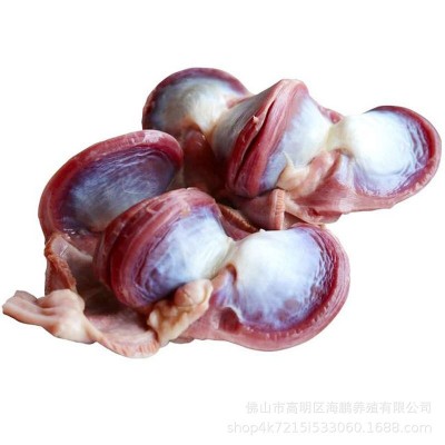 广东黑棕鹅清远乌鬃鹅冷冻鹅副产品鹅胗真空包装生鲜速冻批发供应图5