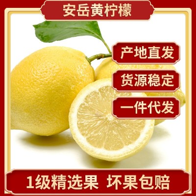 一级精选四川安岳柠檬鲜果批发 当季新鲜水果 产地直发黄柠檬代发图5