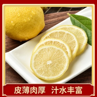 一级精选四川安岳柠檬鲜果批发 当季新鲜水果 产地直发黄柠檬代发图2