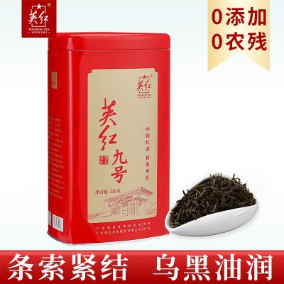 【拍1发2】英红九号英德红茶优品系列罐装茶浓香型红茶共500g批发图3