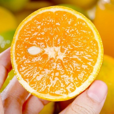 宜橙夏橙 绿橙3斤5斤9斤 酸甜多汁榨汁橙子 湖北秭归现摘新鲜水果图2