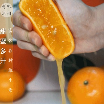 广西特产有机水果有机沃柑橘子新鲜多汁果园现摘整箱5斤起批发图2