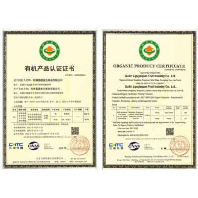 广西特产有机水果有机沃柑橘子新鲜多汁果园现摘整箱5斤起批发图4
