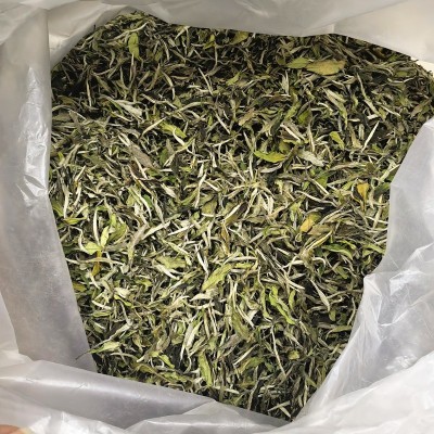 2022年福鼎新茶白茶花香一级白牡丹散茶明前高山春茶茶叶厂家批发图2