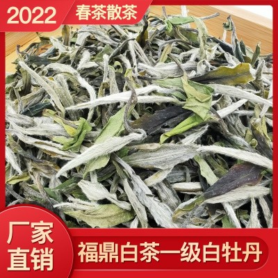 2022年福鼎新茶白茶花香一级白牡丹散茶明前高山春茶茶叶厂家批发图5