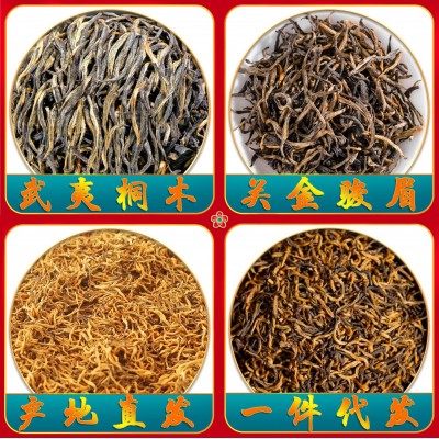 武夷山桐木关正宗金骏眉高山梅占花果蜜香黄芽特级金骏眉红茶批发图2