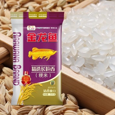金龙鱼精选长粒香 5KG 粳米 清香爽口绵软Q弹 大米10斤图2