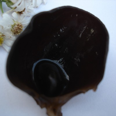 冠发 东北椴木小糯黑木耳特产云耳老鼠耳干货食用菌 500g图3