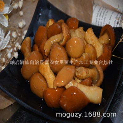 富农东北滑子菇高品质食用菌盐渍滑子菇盐水滑子蘑 A3盐渍A级图4
