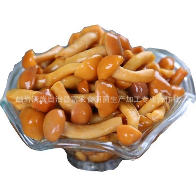 富农东北滑子菇高品质食用菌盐渍滑子菇盐水滑子蘑 A3盐渍A级图5