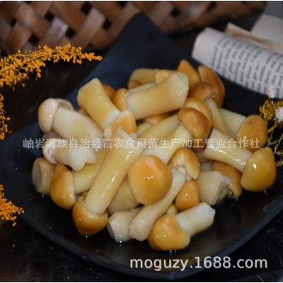 盐水蘑菇厂家直销新鲜大球盖菇姬松茸肉厚肥美火锅巴西菇散装切块图2