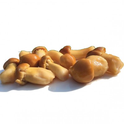 盐水蘑菇厂家直销新鲜大球盖菇姬松茸肉厚肥美火锅巴西菇散装切块图5