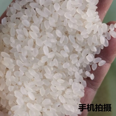 一稻一生二斤东北秋田小町圆粒米 1kg礼品大米会销赠品 一件代发图2