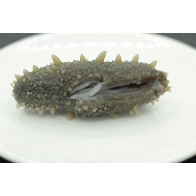 北禾水产工厂现货冷冻鲜食非淡干 5-13头500克长岛鲜食即食海参图4