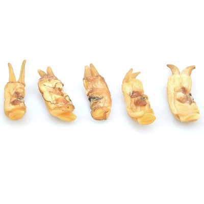蛏子肉干250g袋装水产海鲜海蛏干货竹蛏肉冻品商用海产品厂家批发图3