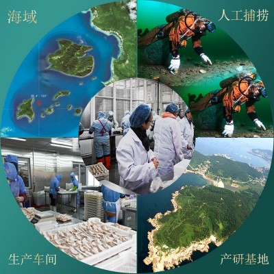 大连淡干海参批发工厂原料散货干参非即食海参新鲜干货源头厂家图4