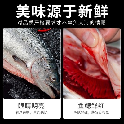 新鲜三文鱼新鲜中段一整条现切去刺身背肉生鱼片冰鲜鲑鱼海 鲜包邮图2