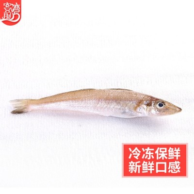 海鲜水产批发 东山非养殖船丁鱼沙尖鱼500g冷冻 顺丰冷链发货分销图4