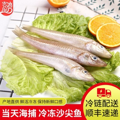 海鲜水产批发 东山非养殖船丁鱼沙尖鱼500g冷冻 顺丰冷链发货分销图2