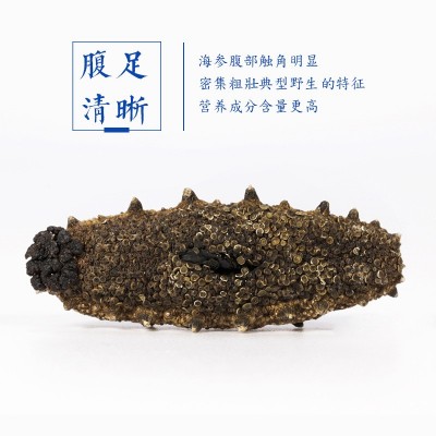 大连淡干海参50g 国标级海参批发佛跳墙海鲜水产海参干货非即食图3