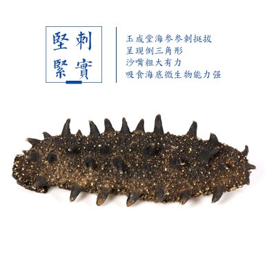 大连淡干海参50g 国标级海参批发佛跳墙海鲜水产海参干货非即食图4