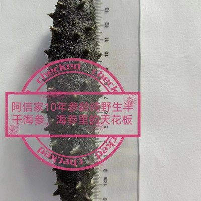 源厂直供大火海参大火半干海参佛跳墙原料口感脆嫩有韧性个大肉厚图3
