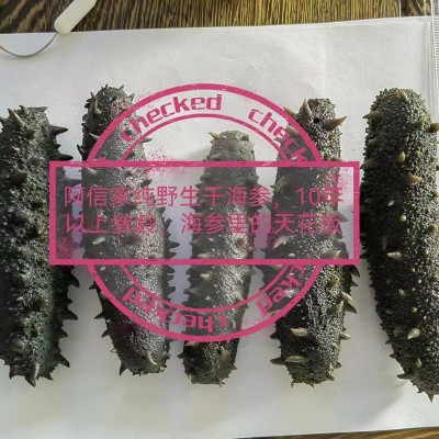 源厂直供大火海参大火半干海参佛跳墙原料口感脆嫩有韧性个大肉厚图4