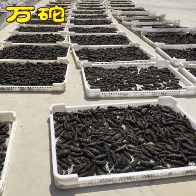 厂家批发 辽参刺参大连海参批发淡干海参干货50g/件可代发图2