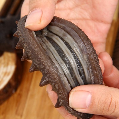 即食海参仙鹭岛工厂现货批发代发大连渤海湾鲜活海参开袋即食500g图2