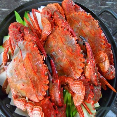 活冻黑虎蟹 黑蟹 石蟹，源于深海，肥美多肉,美味实惠图5