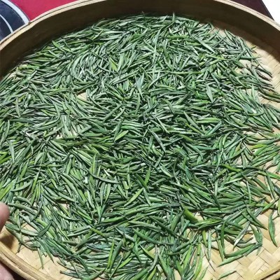 2023雀舌新茶湄潭翠芽贵州茶叶竹叶茶云山情扁竹绿茶特产散茶批发图3