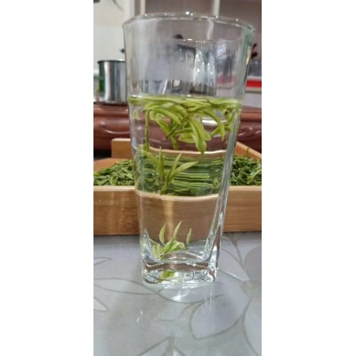 早春黄金芽批发凤型白茶绿茶散装茶叶源产地批发浓香耐泡图5