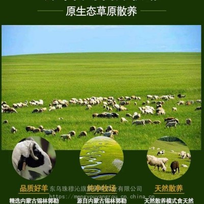 蒙优羊 羊肉片内蒙锡盟羊肉 蒙优羊优质羊肉片羊肉卷图4