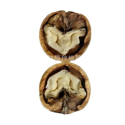 干货坚果零食核桃仁 山西现货批发核桃仁厂家生 产批发图5