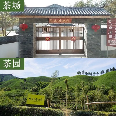 【2023年新茶上市】竺之润正宗安吉白茶雨前茶特级250克兰花香图5