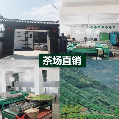 2021年新茶 竺之润牌安吉白茶雨前茶二级250克 茶场直销批发绿茶图2