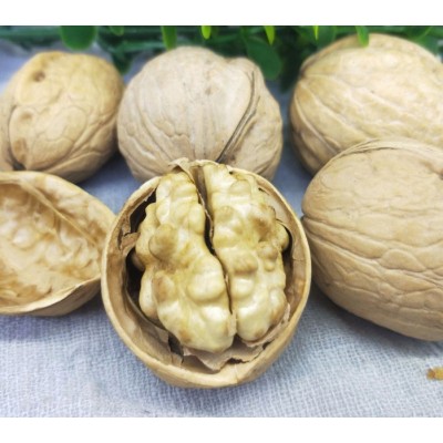 厂家批纸皮核桃干果坚果零食休闲食品 一件代发 包邮图2