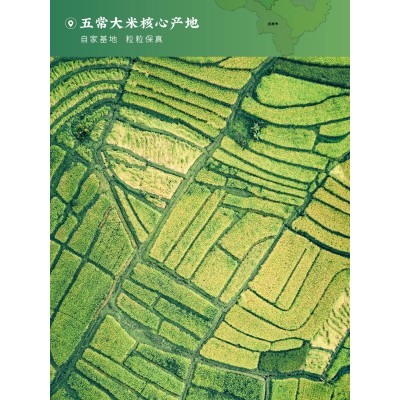 厂家批发 五常珍珠米22年东北大米当季新米5斤真空包装寒地珍珠米图3