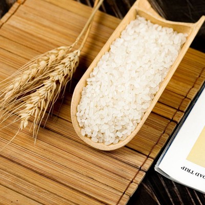 黑龙江圆粒珍珠大米 22年秋季新米5kg10斤 东北现磨粳米 厂家直批图4