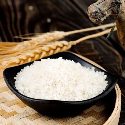 黑龙江圆粒珍珠大米 22年秋季新米5kg10斤 东北现磨粳米 厂家直批图3