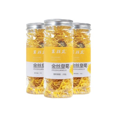 金丝皇菊大朵 黄菊花皇菊 金丝黄菊一件代发图5
